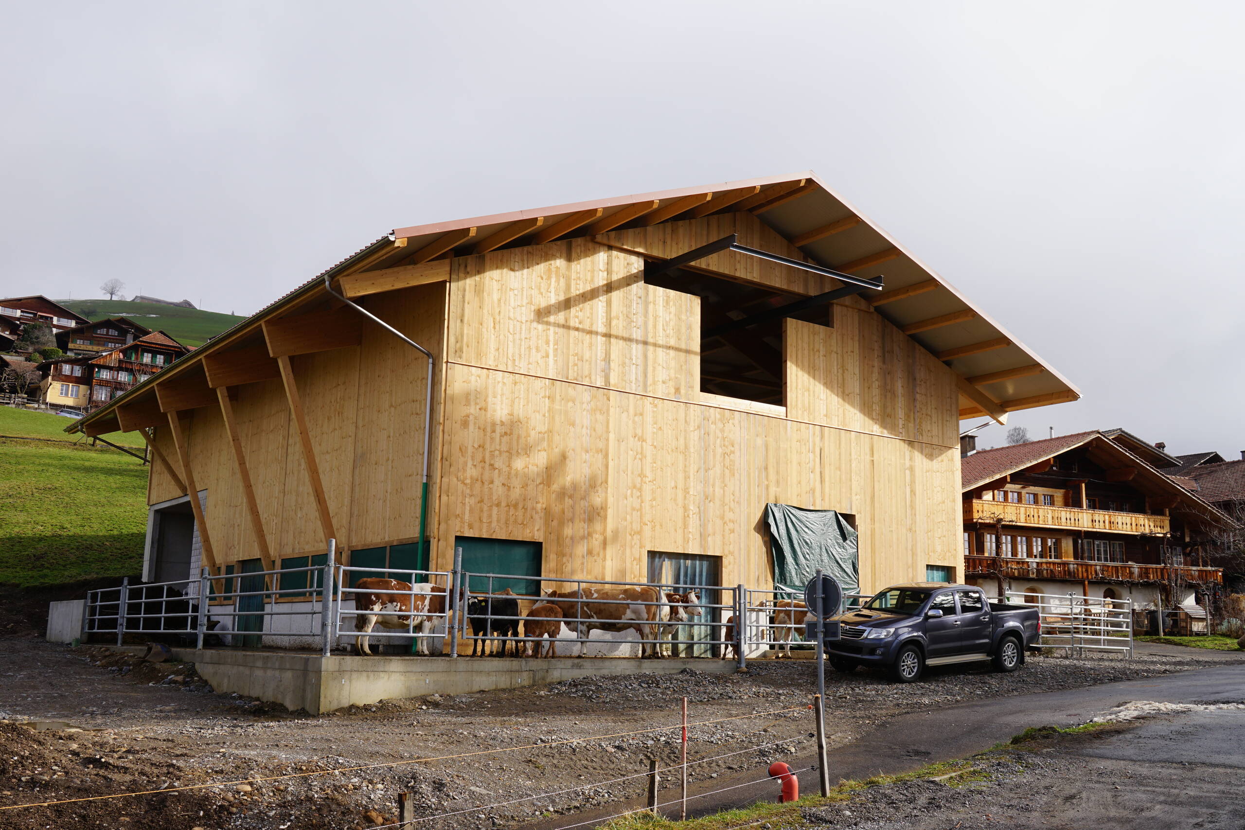 Neubau Freilaufstall für Mutterkuhhaltung